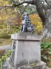 福泉寺の狛犬