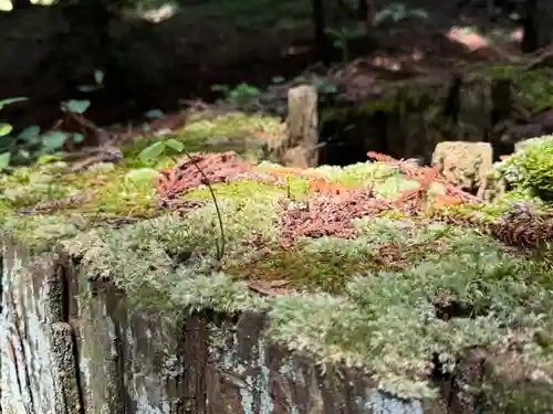 鹿島大神宮(福島県)