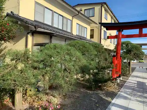 久之浜諏訪神社の自然