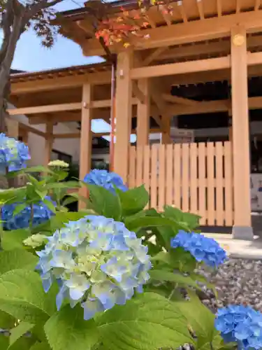 總社 和田八幡宮(福井県)