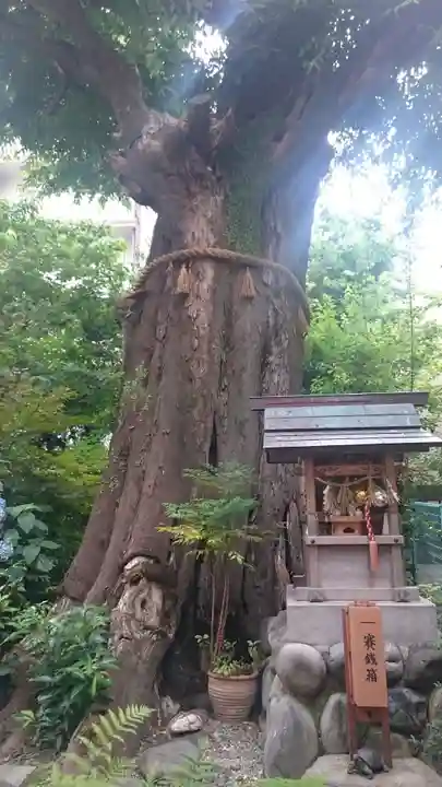名古屋東照宮の末社・摂社