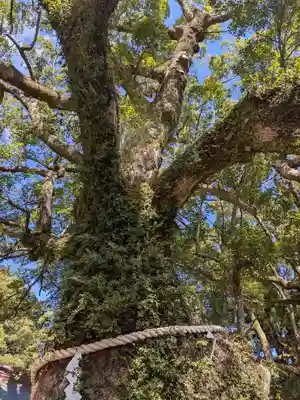 熊野那智大社(和歌山県)