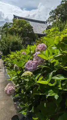  智積院(京都府)