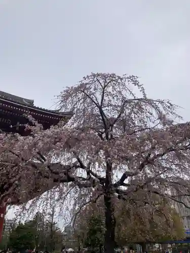 浅草寺(東京都)