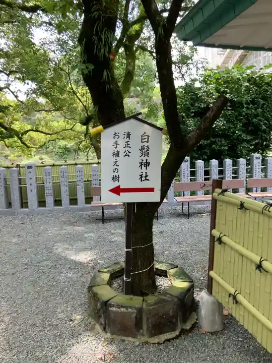 加藤神社(熊本県)