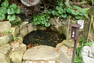 師岡熊野神社(神奈川県)