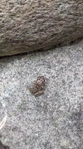 八王子社の自然