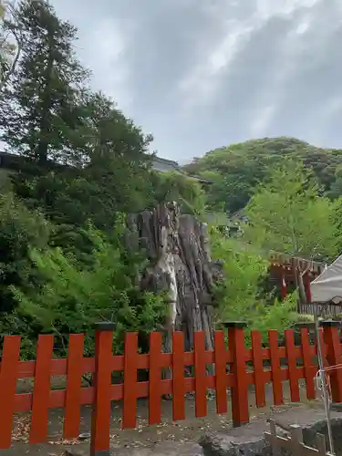 鶴岡八幡宮の自然