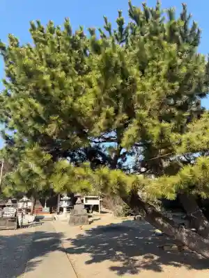 佐谷田神社の{uncategorized: "未分類", other: "その他", undefined: "問題あり", building: "その他建物", grave: "お墓", sacred_gate: "鳥居", guardian: "狛犬", statue: "像", buddha: "仏像", history: "歴史", nature: "自然", garden: "庭園", animal: "動物", pagoda: "塔", temizu: "手水舎", mountain_gate: "山門・神門", sanctuary: "本殿・本堂", subordinate: "末社・摂社", art: "芸術", scenery: "景色", jizo: "地蔵", ema: "絵馬", goshuin: "御朱印", omikuji: "おみくじ", items: "授与品その他", amulet: "お守り", goshuincho: "御朱印帳", eats: "食事", festival: "お祭り", votive_dance: "神楽", shichigosan: "七五三参", wedding: "結婚式", experience: "体験その他", initially: "初詣", around: "周辺", anti_infection: "感染症対策"}