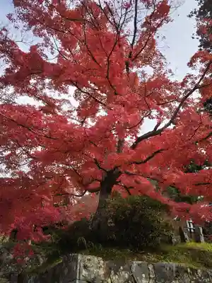 普門院（文知摺観音）(福島県)