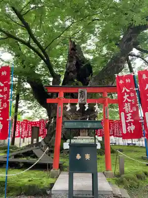 秩父今宮神社(埼玉県)