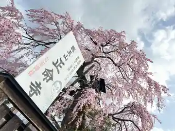 正命寺(長野県)