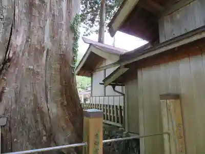 旗挙八幡宮の本殿・本堂