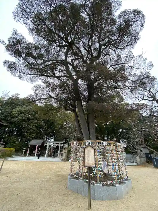 阿智神社(岡山県)
