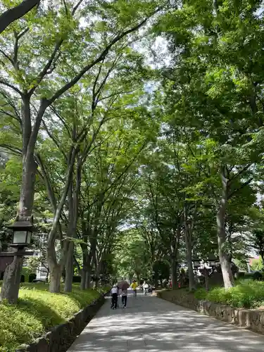 武蔵一宮氷川神社(埼玉県)