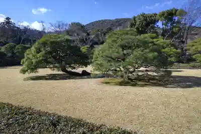 伊勢神宮内宮（皇大神宮）(三重県)