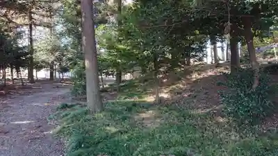 諏訪神社の周辺