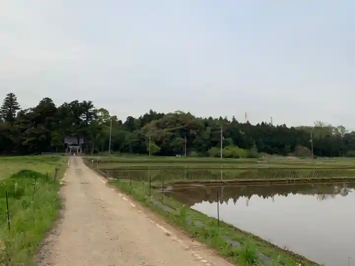 稲荷神社の周辺