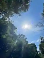 寒川神社の自然