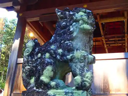 伊波乃西神社の狛犬