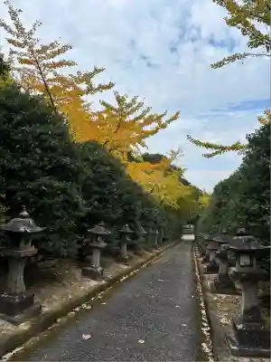 蓮華院誕生寺奥之院(熊本県)