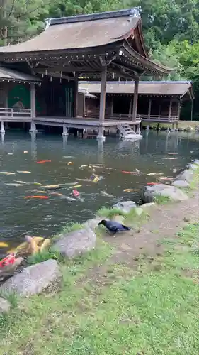 身曾岐神社(山梨県)