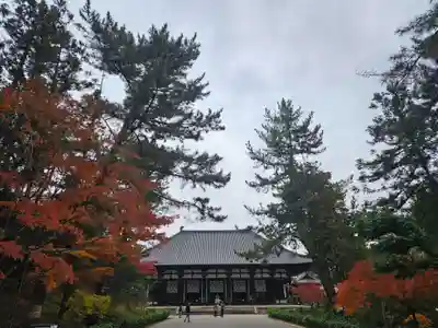 唐招提寺(奈良県)