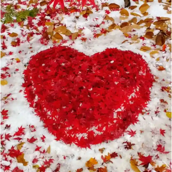 彌彦神社 (伊夜日子神社)(北海道)