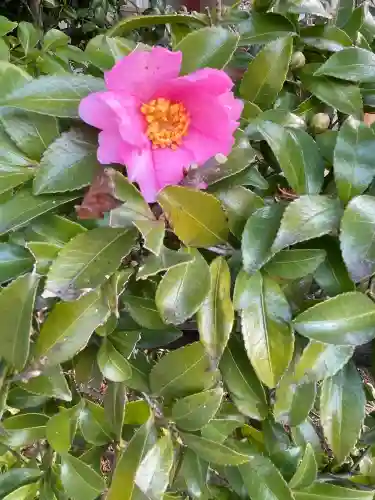 尾張猿田彦神社(愛知県)