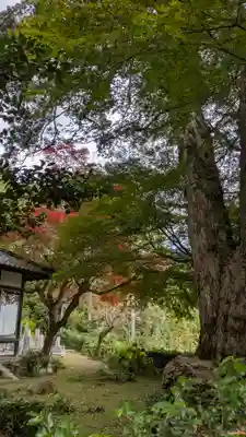 導故院(京都府)