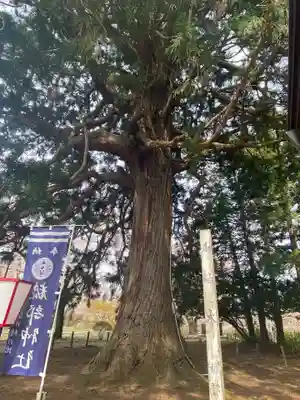 糠部神社の自然