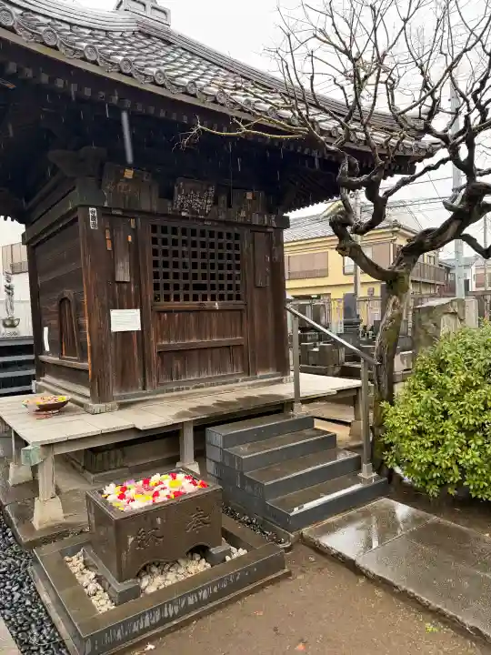 観音寺の{uncategorized: "未分類", other: "その他", undefined: "問題あり", building: "その他建物", grave: "お墓", sacred_gate: "鳥居", guardian: "狛犬", statue: "像", buddha: "仏像", history: "歴史", nature: "自然", garden: "庭園", animal: "動物", pagoda: "塔", temizu: "手水舎", mountain_gate: "山門・神門", sanctuary: "本殿・本堂", subordinate: "末社・摂社", art: "芸術", scenery: "景色", jizo: "地蔵", ema: "絵馬", goshuin: "御朱印", omikuji: "おみくじ", items: "授与品その他", amulet: "お守り", goshuincho: "御朱印帳", eats: "食事", festival: "お祭り", votive_dance: "神楽", shichigosan: "七五三参", wedding: "結婚式", experience: "体験その他", initially: "初詣", around: "周辺", anti_infection: "感染症対策"}