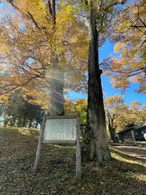 諏訪大社上社前宮(長野県)