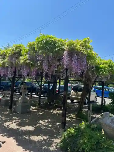 諏訪神社(宮城県)