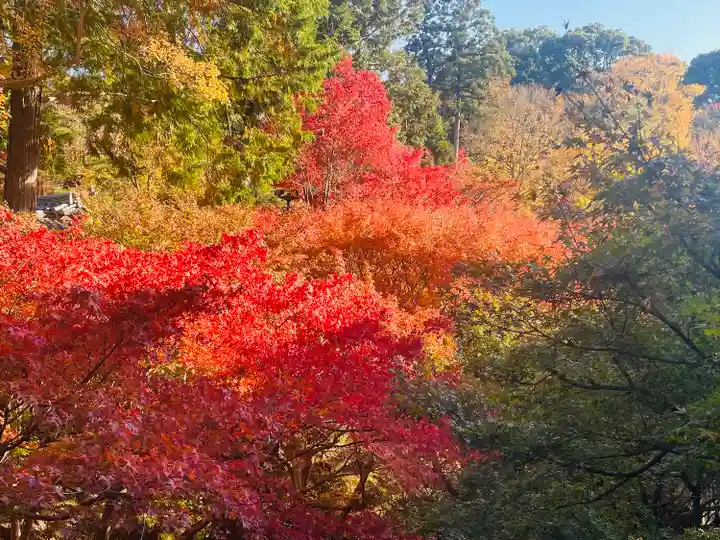 東福禅寺(東福寺)(京都府)
