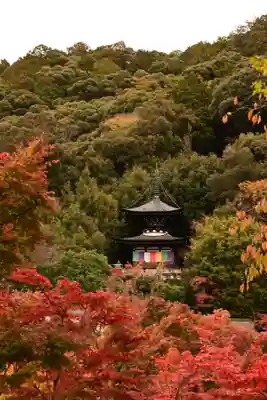 禅林寺(永観堂)(京都府)