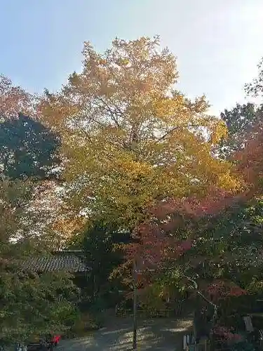 聖寳寺の庭園