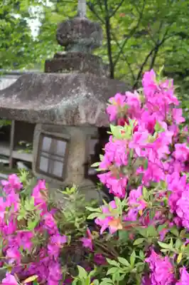 松尾神社(滋賀県)