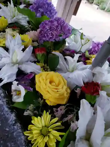 鳩森八幡神社の手水舎