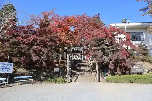 小鹿神社の自然