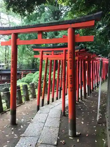 根津神社の鳥居