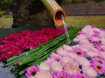 高林寺の手水舎