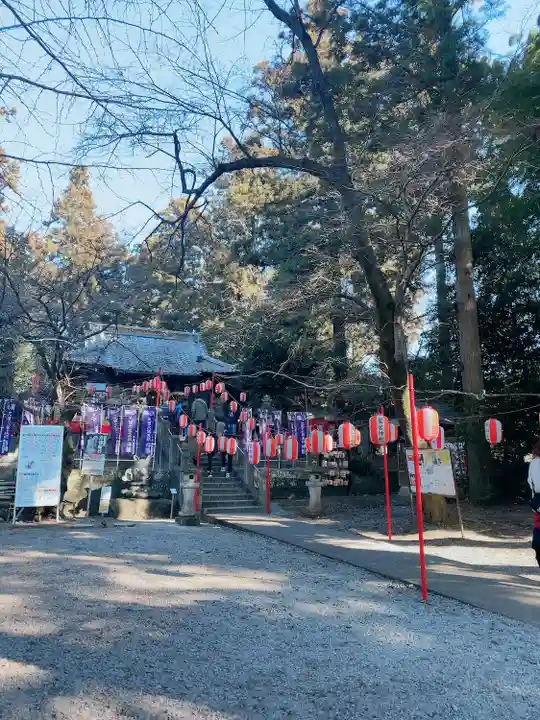 下野 星宮神社(栃木県)