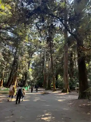 鹿島神宮(茨城県)
