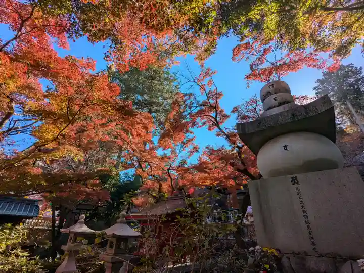 高幡不動尊 金剛寺(東京都)