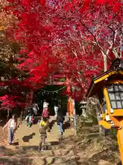 新倉富士浅間神社(山梨県)