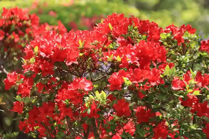 開成山大神宮の庭園