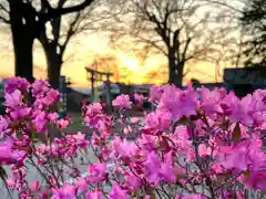 白鳥神社(長野県)