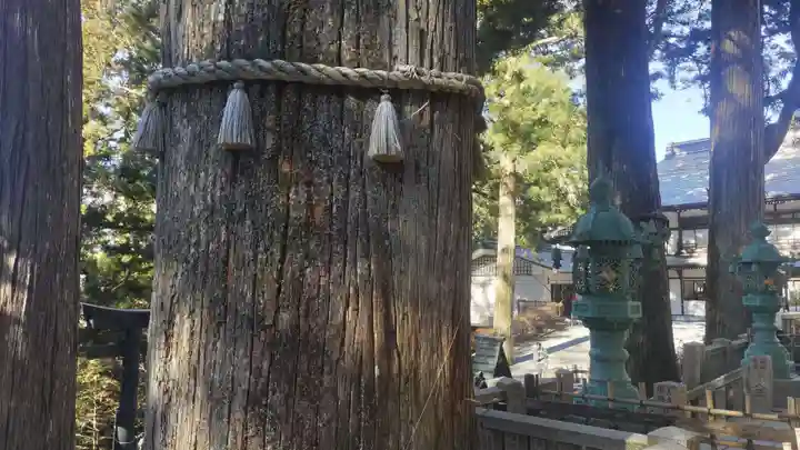 三峯神社(埼玉県)