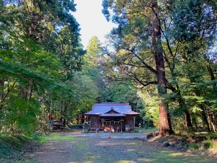 大井神社(太郎神社)の本殿・本堂